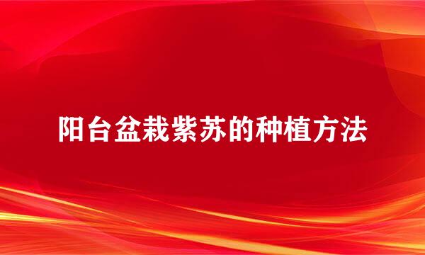 阳台盆栽紫苏的种植方法