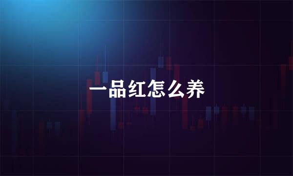 一品红怎么养
