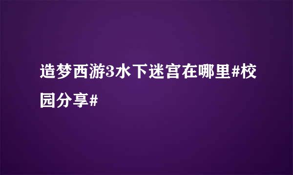 造梦西游3水下迷宫在哪里#校园分享#