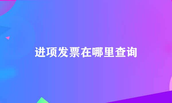 进项发票在哪里查询