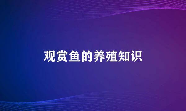 观赏鱼的养殖知识