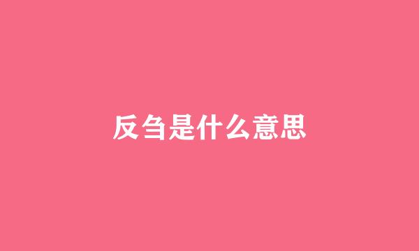 反刍是什么意思