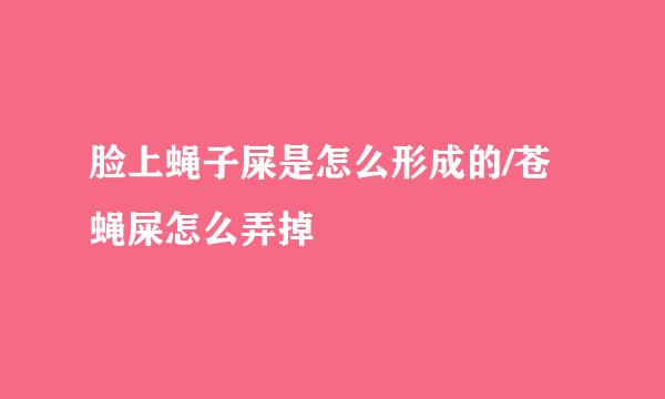 脸上蝇子屎是怎么形成的/苍蝇屎怎么弄掉