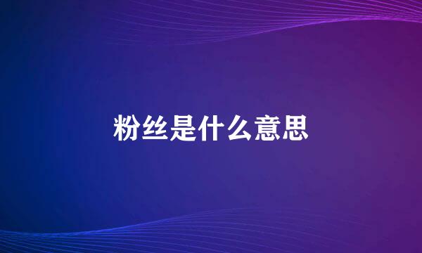 粉丝是什么意思