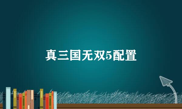 真三国无双5配置