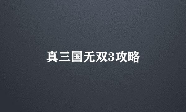 真三国无双3攻略