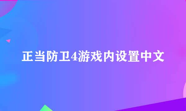 正当防卫4游戏内设置中文