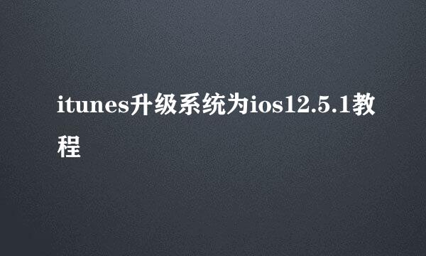 itunes升级系统为ios12.5.1教程
