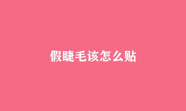 假睫毛该怎么贴