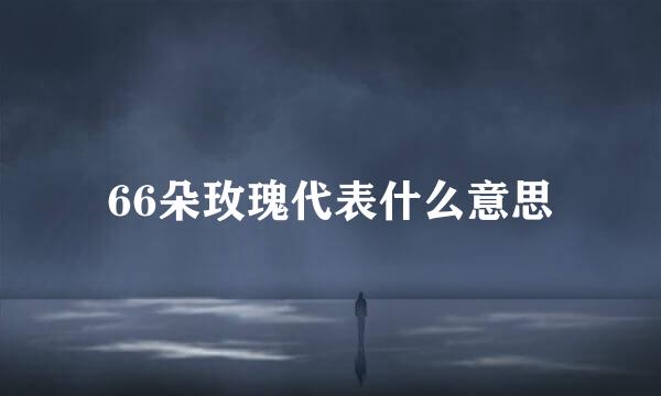 66朵玫瑰代表什么意思