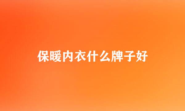 保暖内衣什么牌子好