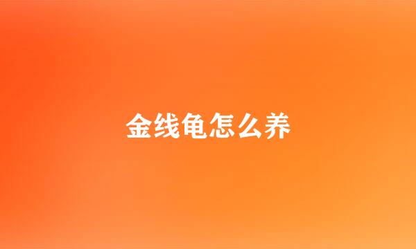 金线龟怎么养