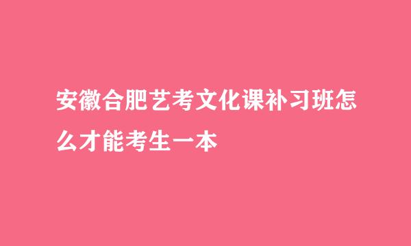安徽合肥艺考文化课补习班怎么才能考生一本