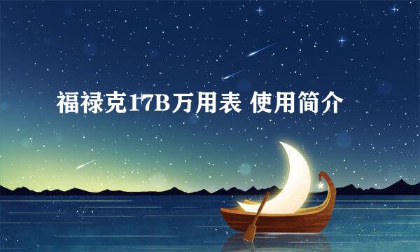 福禄克17B万用表 使用简介