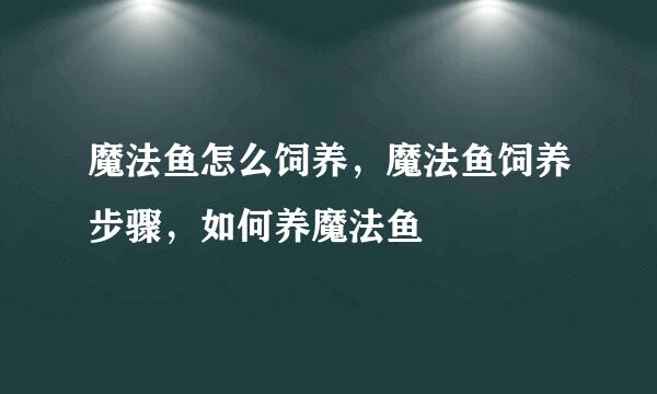 魔法鱼怎么饲养,魔法鱼饲养步骤,如何养魔法鱼