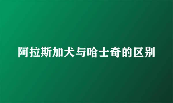 阿拉斯加犬与哈士奇的区别