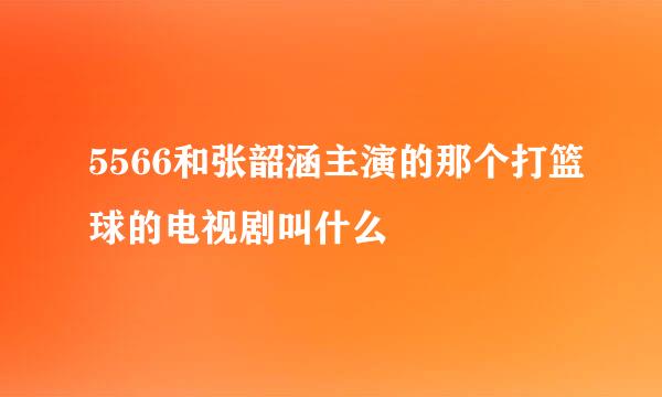 5566和张韶涵主演的那个打篮球的电视剧叫什么