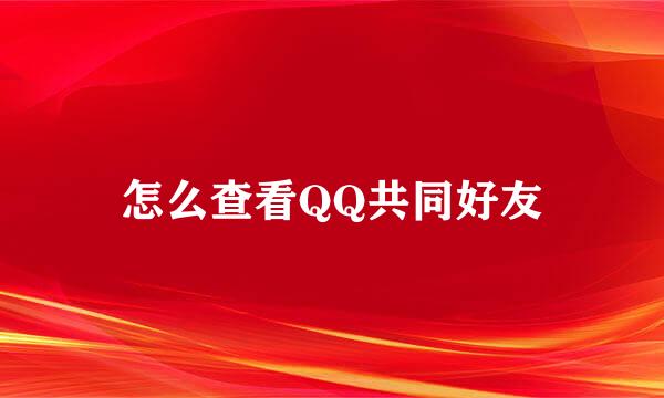 怎么查看QQ共同好友