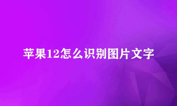 苹果12怎么识别图片文字