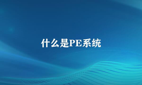 什么是PE系统