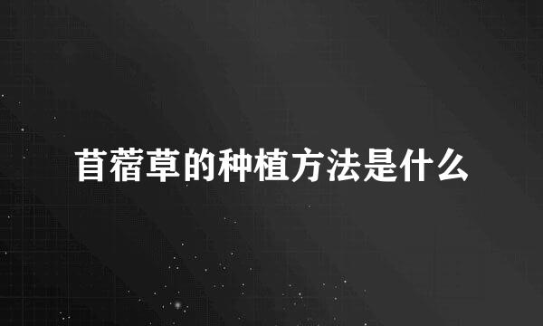 苜蓿草的种植方法是什么