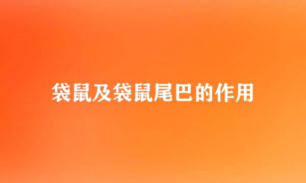 袋鼠及袋鼠尾巴的作用