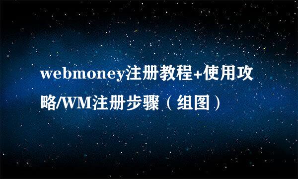 webmoney注册教程+使用攻略/WM注册步骤(组图)