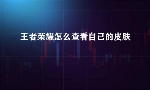 王者荣耀怎么查看自己的皮肤