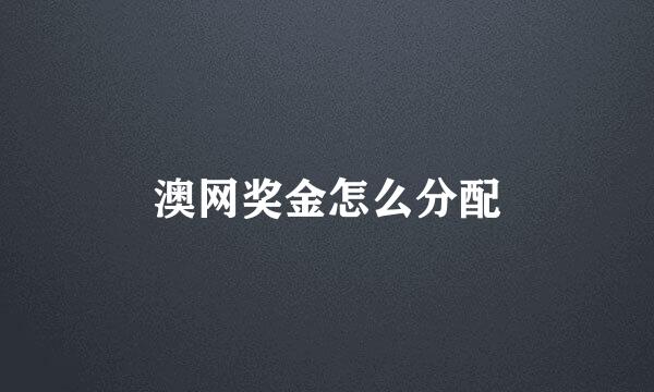 澳网奖金怎么分配