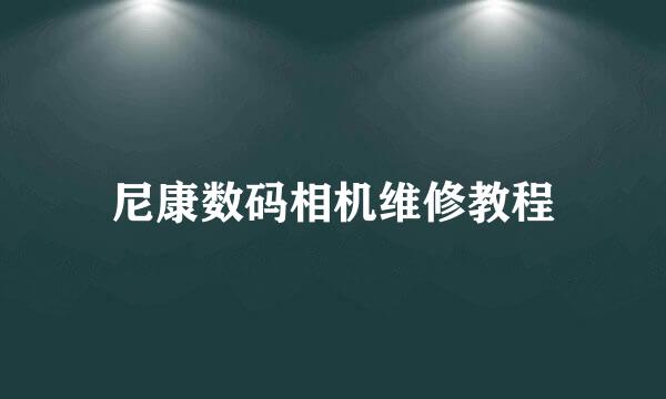 尼康数码相机维修教程