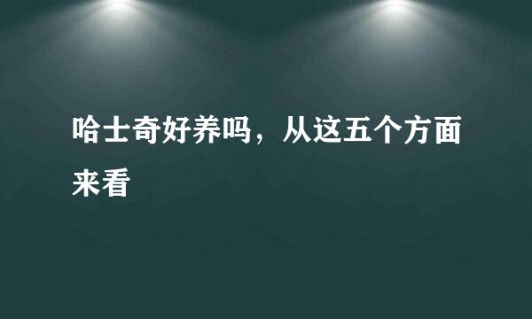 哈士奇好养吗，从这五个方面来看
