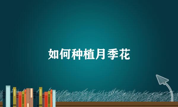如何种植月季花