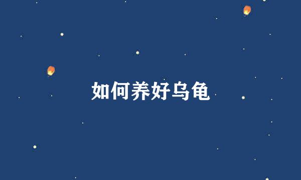如何养好乌龟