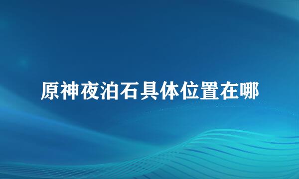 原神夜泊石具体位置在哪